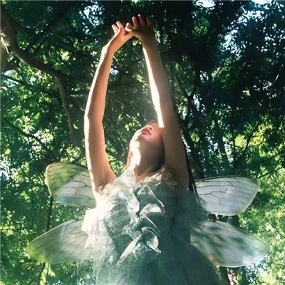 傅总别虐了夫人早把离婚书签好了